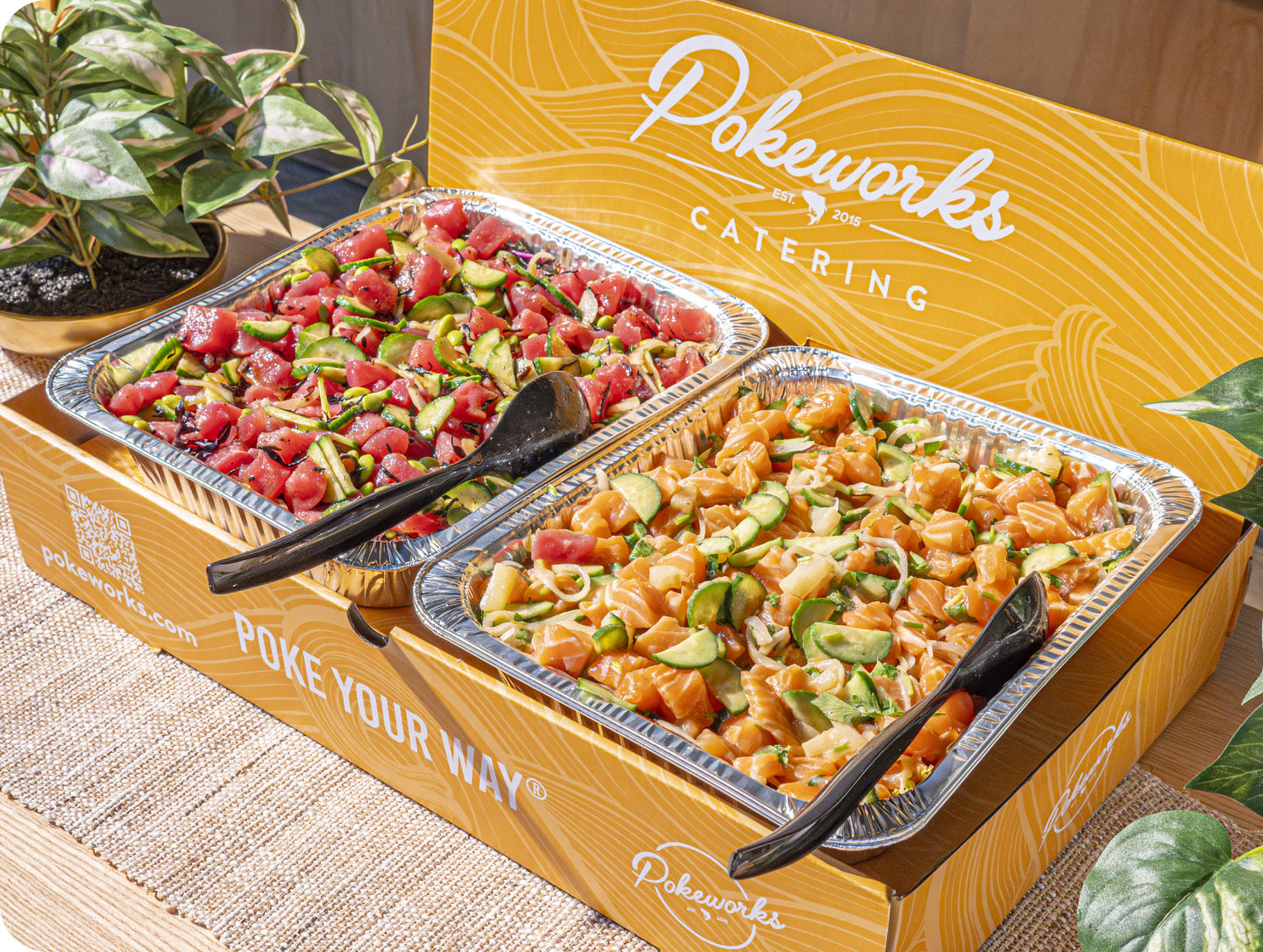 Pokeworks Catering box showcasing Salmon and Tuna 