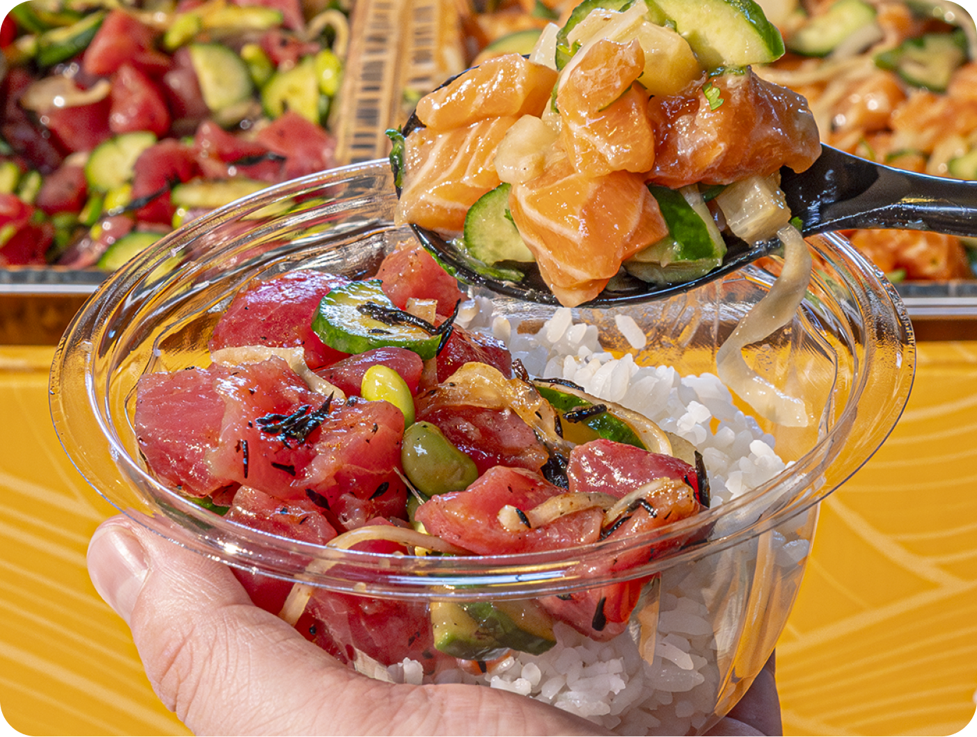 Bowl full of Rice, Ahi tuna, Salmon and Cucumber