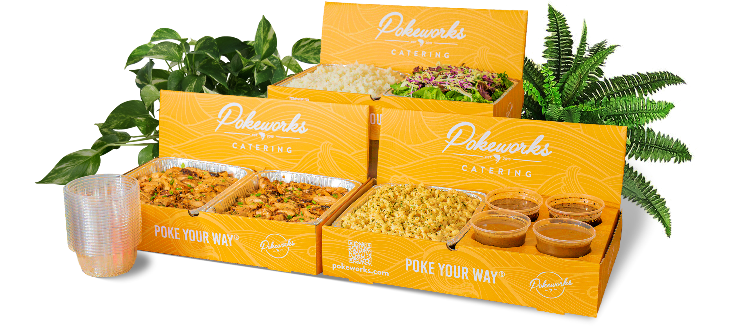 3 Pokeworks Catering box